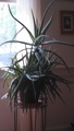 Image file: photo01.jpg