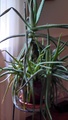Image file: photo02.jpg