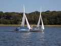 Image file: _2/photo37.jpg