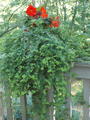 Image file: photo04.jpg