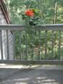 Image file: photo05.jpg