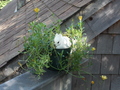 Image file: photo08.jpg