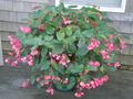 Image file: photo15.jpg