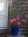 Image file: photo21.jpg