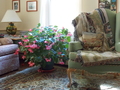 Image file: photo02.jpg
