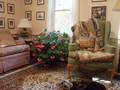 Image file: photo04.jpg