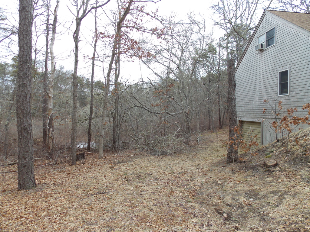 No description provided for: /2014/0315-tree-damage/photo01.html