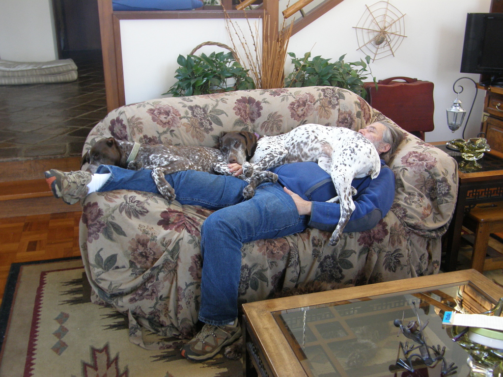 No description provided for: /2014/0416-nap-with-dogs/photo01.html