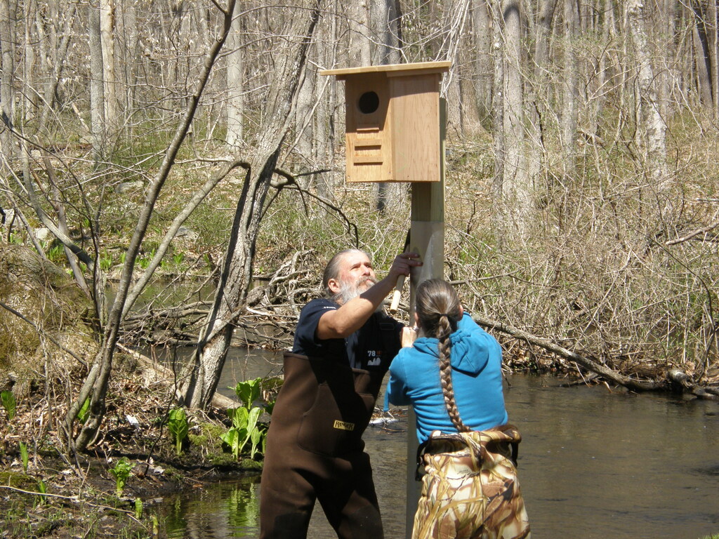 No description provided for: /2014/0419-more-duck-boxes/_1/photo15.html