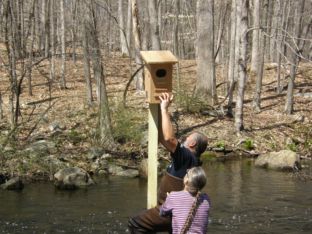 No description provided for: /2014/0419-more-duck-boxes/_2/photo31.html