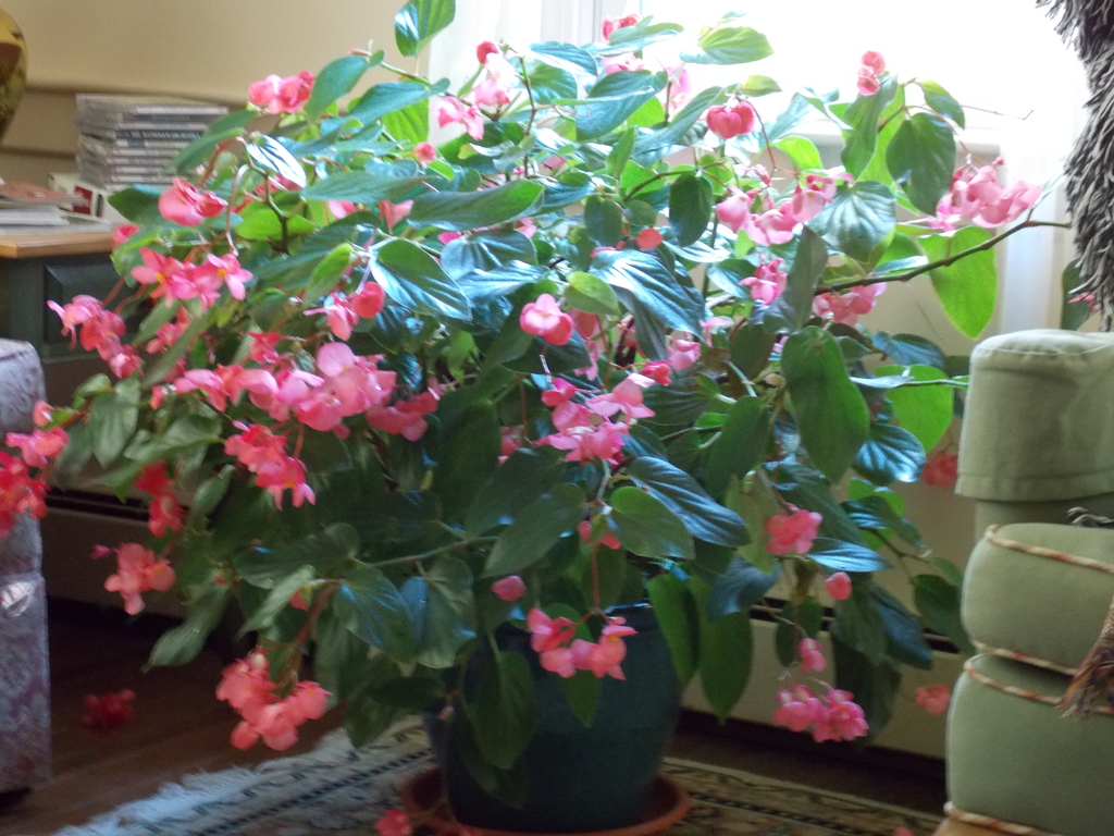 No description provided for: /2014/1012-erin-plant/photo03.html