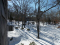 Image file: photo01.jpg