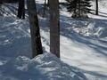 Image file: photo05.jpg
