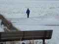 Image file: photo02.jpg