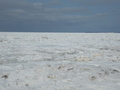 Image file: photo15.jpg