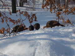 Image file: photo03.jpg