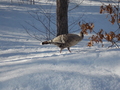 Image file: photo06.jpg