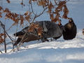 Image file: photo07.jpg