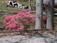 Image file: photo03.jpg