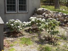 Image file: photo04.jpg