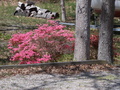 Image file: photo03.jpg
