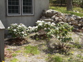 Image file: photo04.jpg