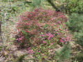 Image file: photo06.jpg