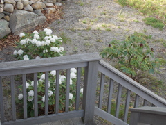 Image file: photo03.jpg