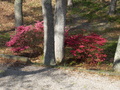 Image file: photo02.jpg