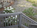 Image file: photo03.jpg