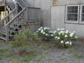 Image file: photo04.jpg
