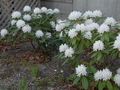 Image file: photo05.jpg