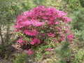 Image file: photo01.jpg