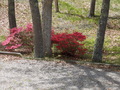 Image file: photo02.jpg