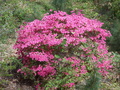 Image file: photo01.jpg