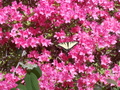 Image file: photo02.jpg