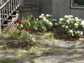 Image file: photo05.jpg