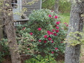 Image file: photo02.jpg