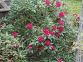 Image file: photo03.jpg
