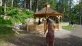 Image file: _5/photo089.jpg