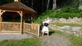 Image file: _5/photo098.jpg