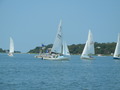 Image file: _1/photo16.jpg