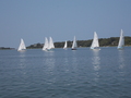 Image file: _2/photo40.jpg