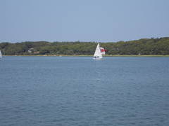 Image file: photo45.jpg