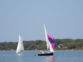 Image file: _3/photo50.jpg