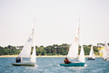 Image file: _2/photo29.jpg