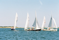 Image file: _2/photo32.jpg