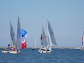 Image file: _2/photo36.jpg