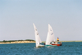 Image file: _3/photo39.jpg