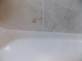 Image file: photo08.jpg